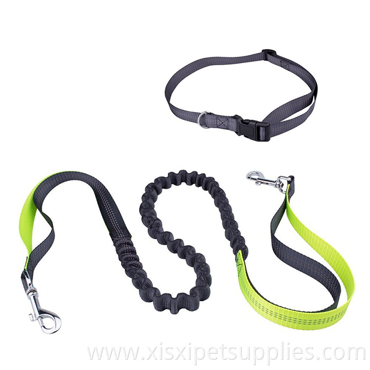 BREAKAWAY Hands Free Dog Leash Premium Dual Handle Bungee Leash with Adjustable Waist Belt Reflective Personalized Nylon BOWKNOT